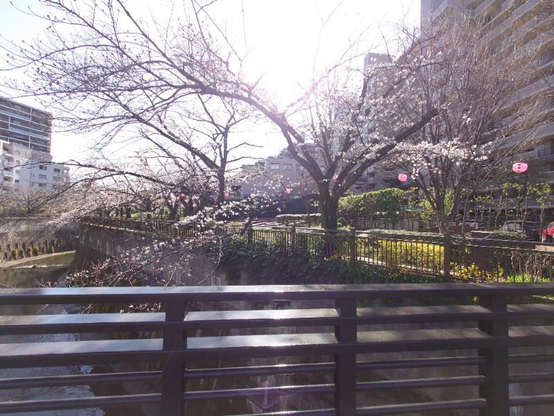 ばななさんの十條湯のサ活写真