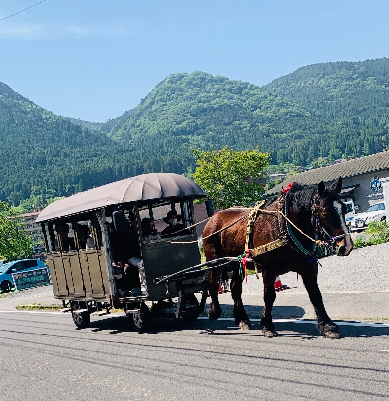 やなぎさんのゆふいんホテル秀峰館のサ活写真