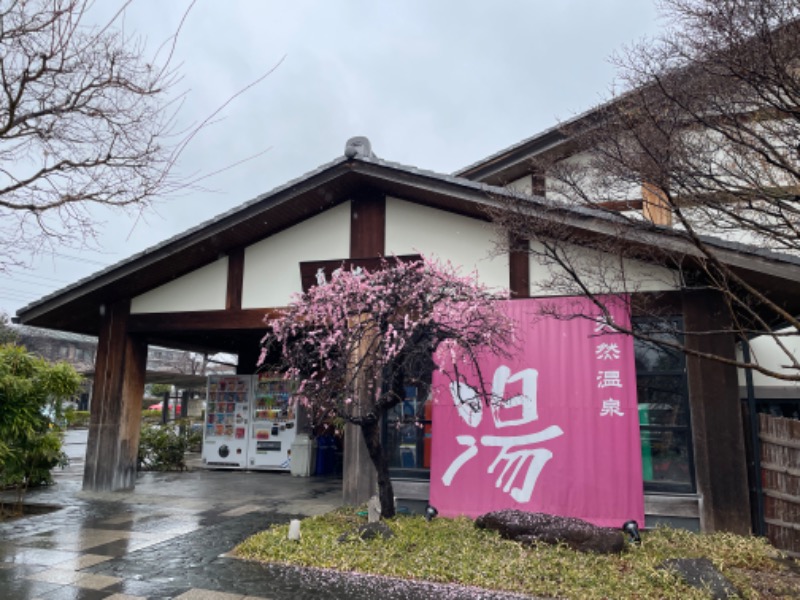 ニシサブローさんの天然温泉 真名井の湯 大井店のサ活写真