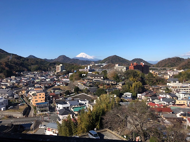 ナガシさんのニュー八景園のサ活写真