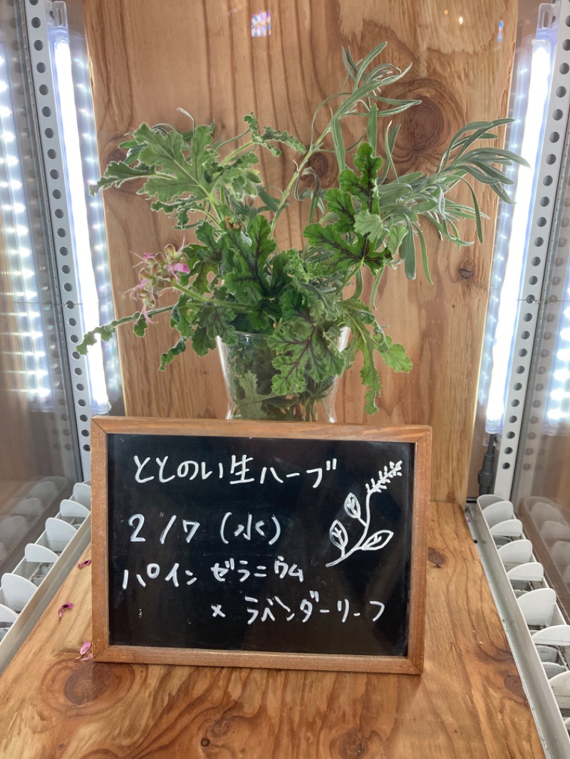 ABEさんの岐阜各務原 恵みの湯のサ活写真