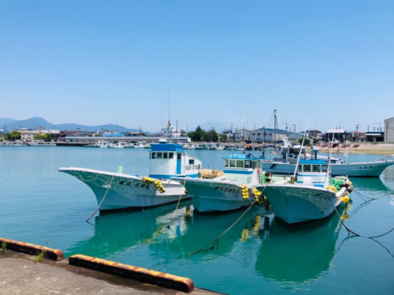 さうにゃーさんの用宗みなと温泉のサ活写真