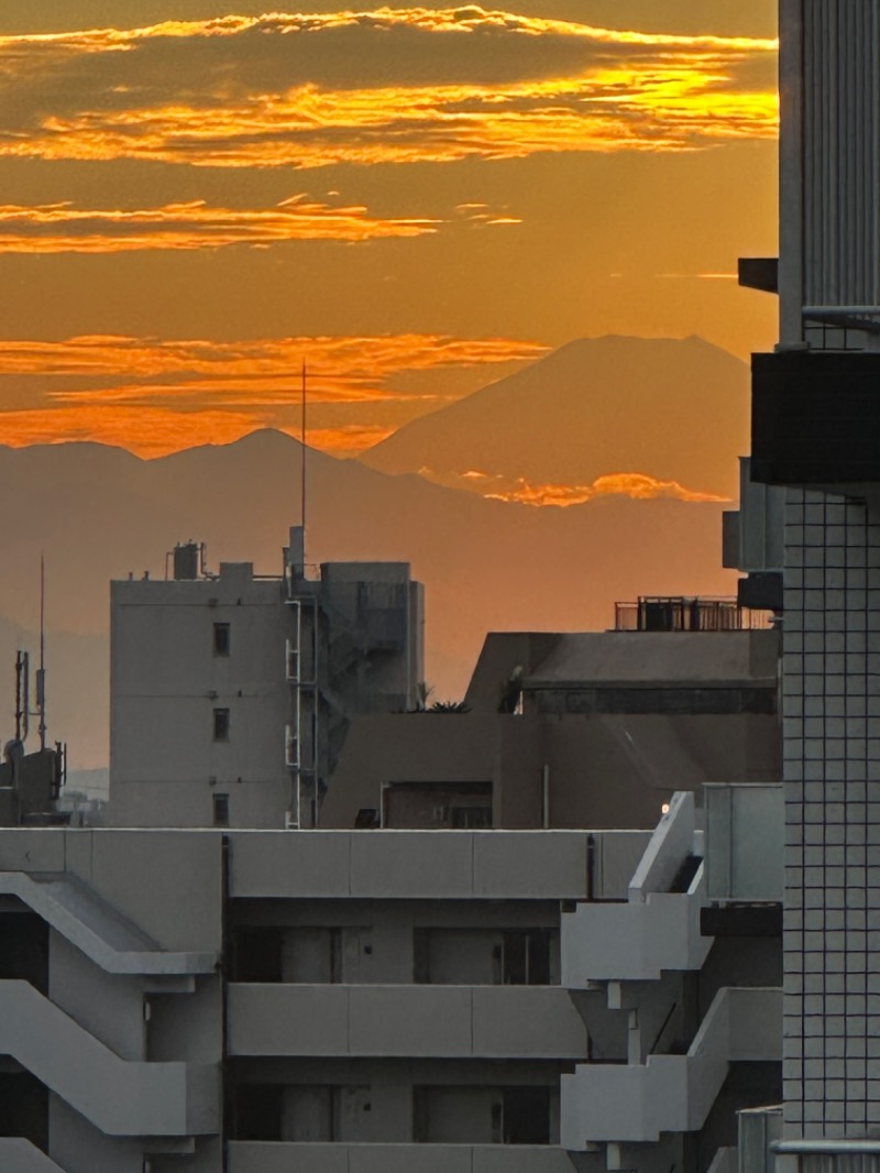 みっちさんの天空のアジト マルシンスパのサ活写真