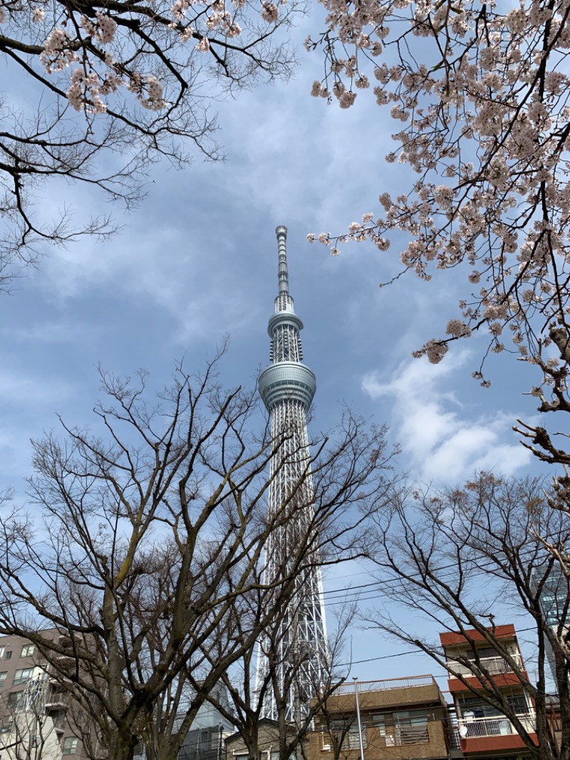 OK牧場(棟梁)さんの黄金湯のサ活写真