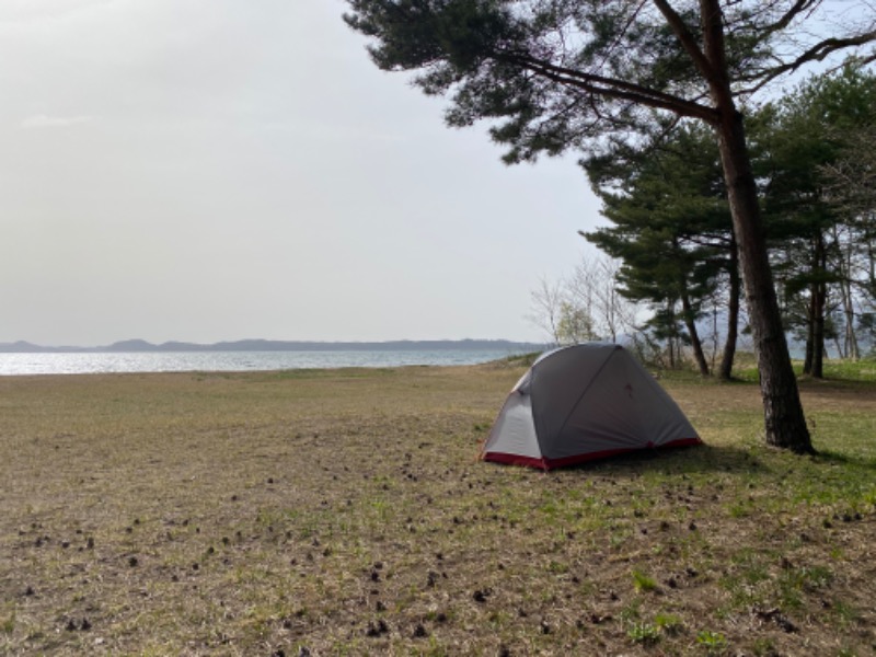 masa-pさんのひばり温泉のサ活写真