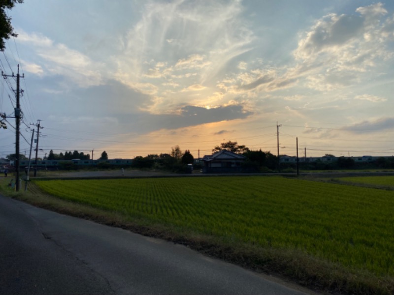 N3さんの成田の命泉 大和の湯のサ活写真