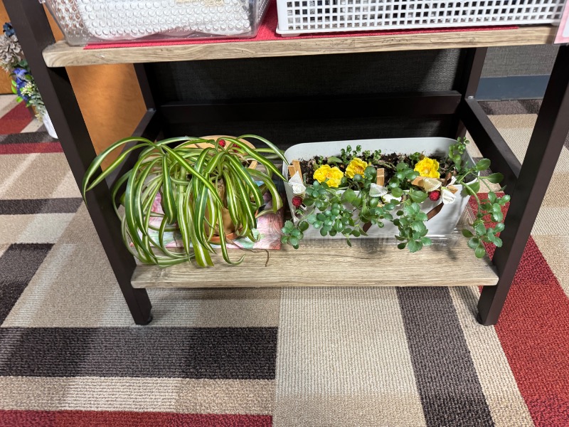 かずちさんのスパリゾート オアシス御殿場のサ活写真