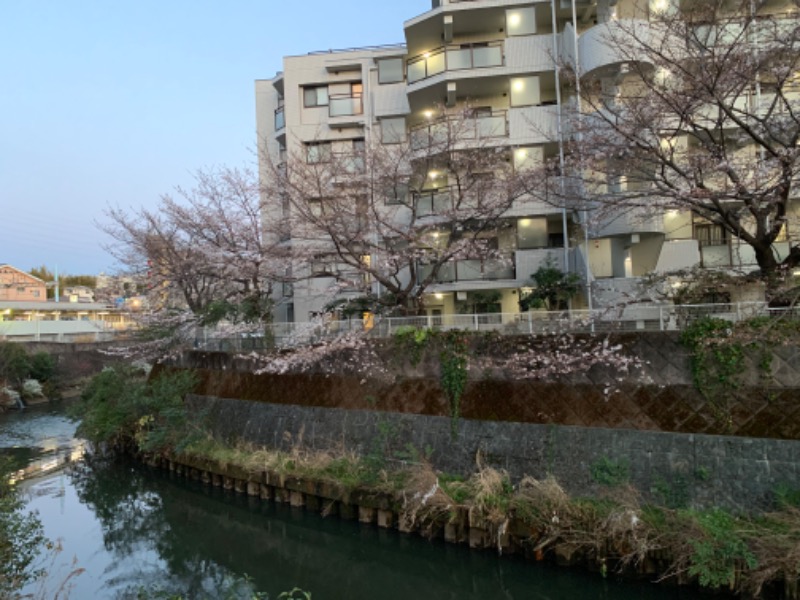 スウェットさんの天然温泉 満天の湯のサ活写真