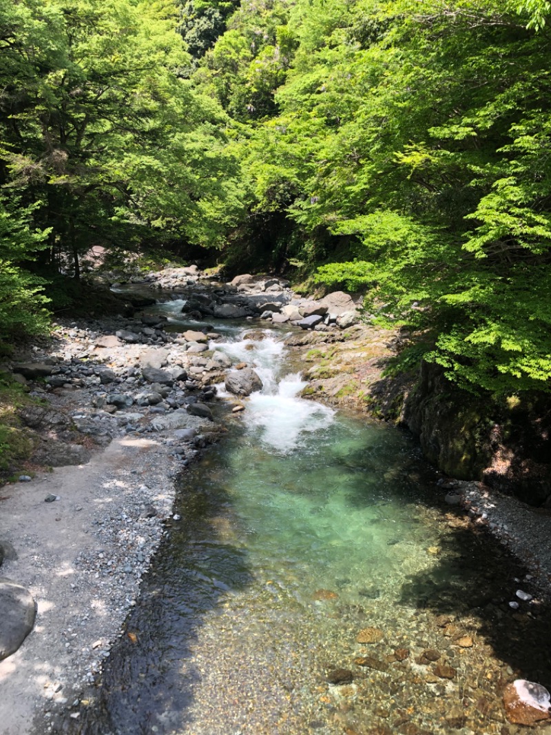 SuwaHealthLandさんの道志川温泉紅椿の湯のサ活写真