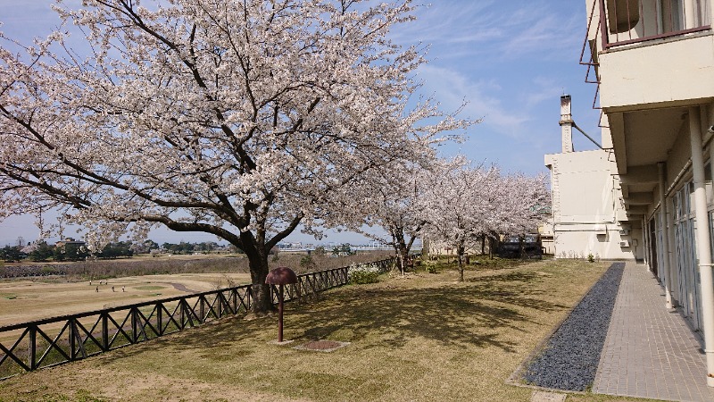 ▼・谷・▼パグ使い。さんの庄川清流温泉 となみ野庄川荘のサ活写真