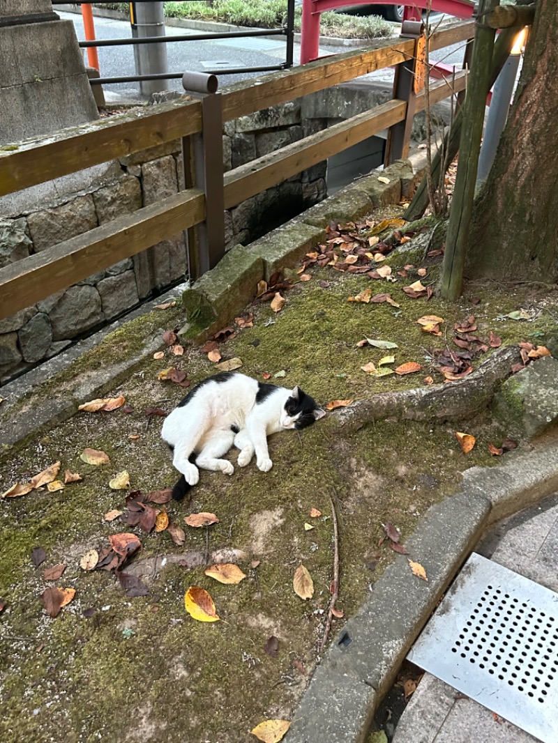 熊原さんの日奈久温泉センター ばんぺい湯&本湯のサ活写真