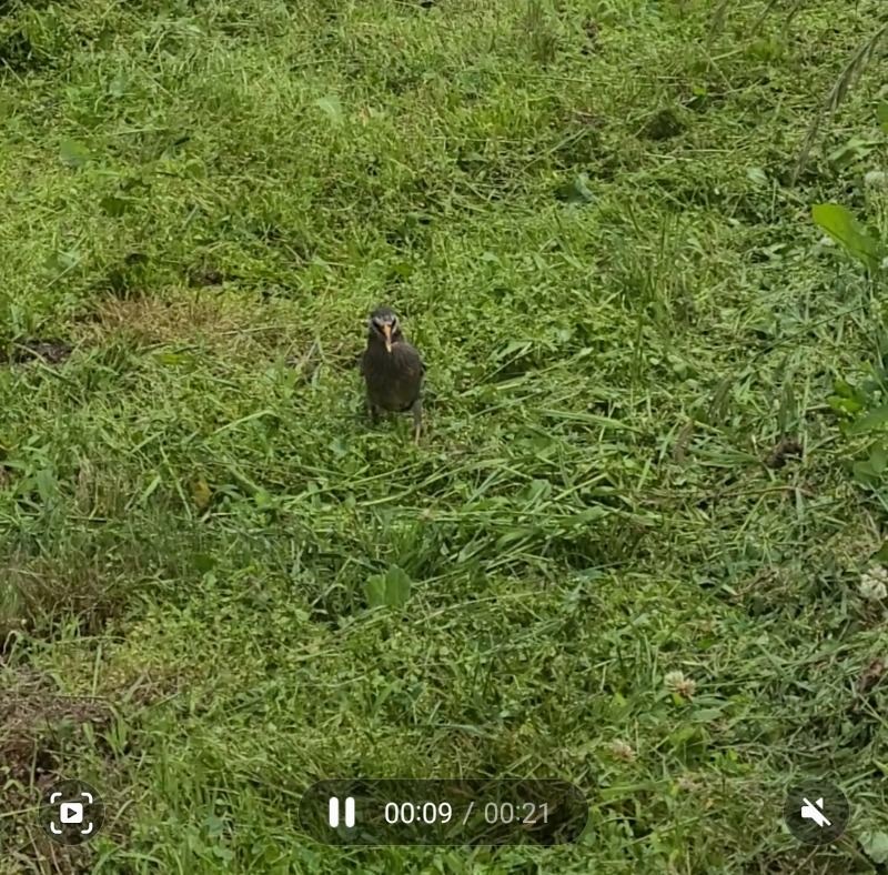 あかさんの信州たかもり温泉 御大の館のサ活写真