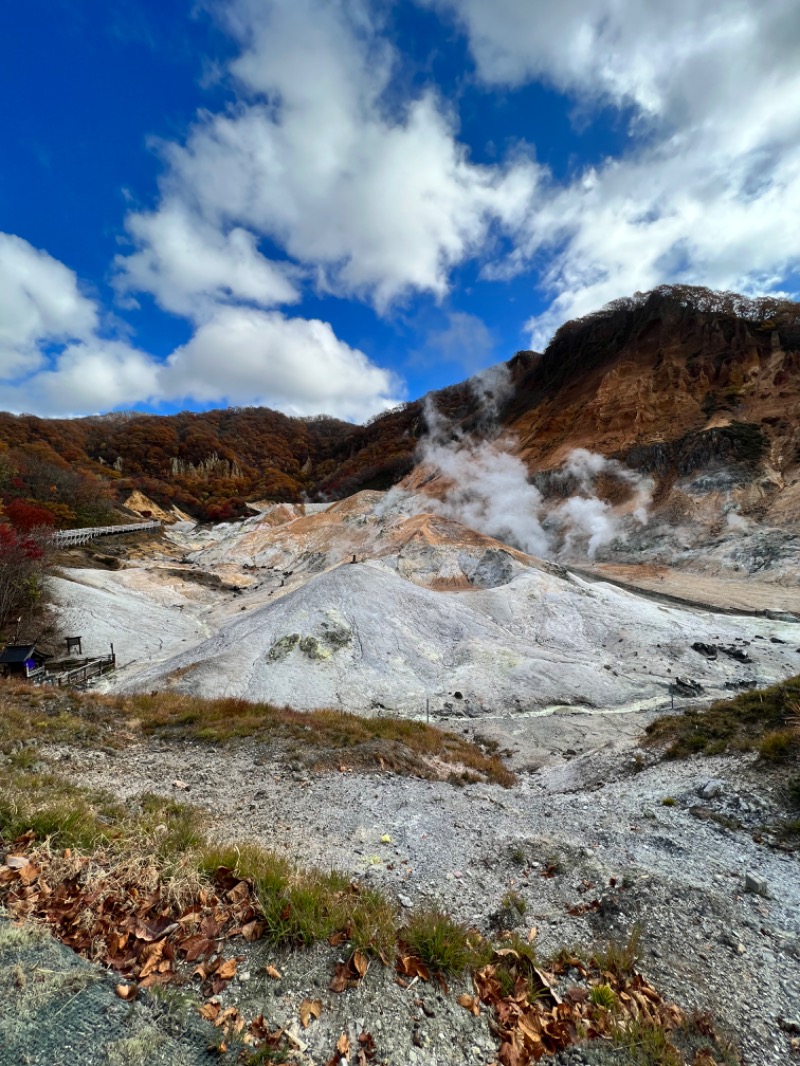 三度の飯よりさんの登別温泉 ホテル まほろばのサ活写真