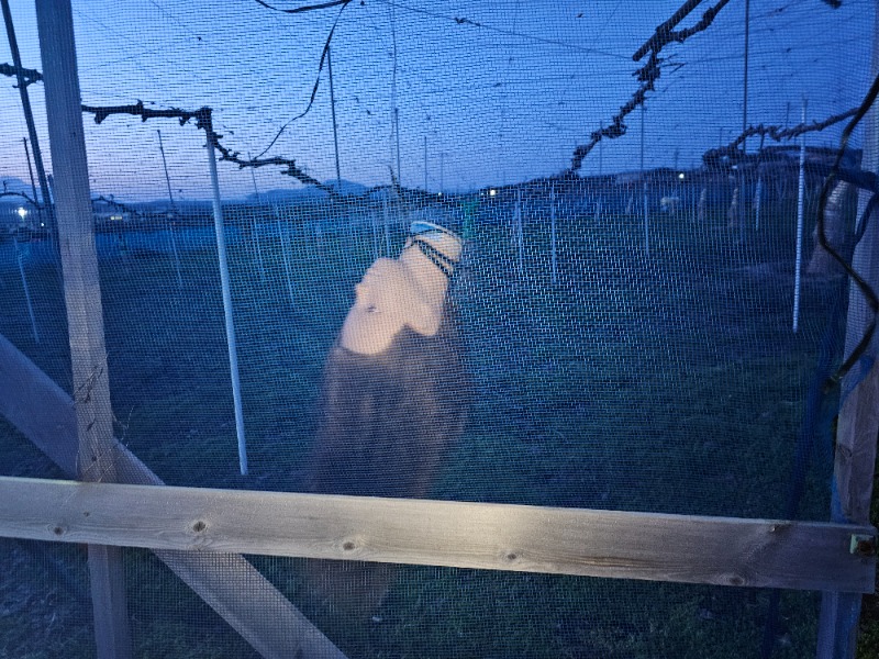 あかさんの天然温泉 まめじま湯ったり苑のサ活写真