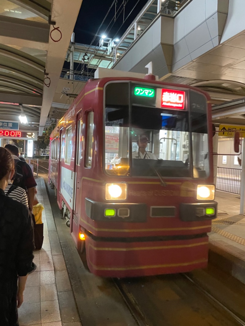 bigbozeさんの天然温泉 つつじの湯 ドーミーインEXPRESS豊橋のサ活写真