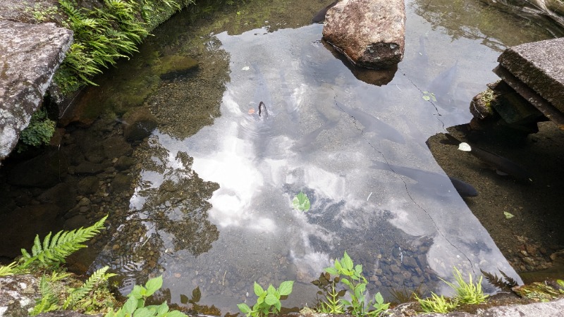 ヒロキさんの畑冷泉館のサ活写真