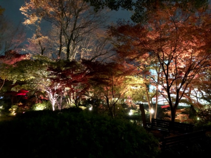 つむぐさんの豊島園 庭の湯のサ活写真