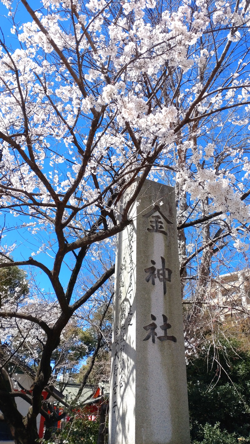 黒岩圭介さんの新岐阜サウナのサ活写真