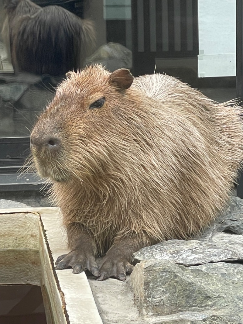 MiNaToさんの石狩天然温泉 番屋の湯のサ活写真