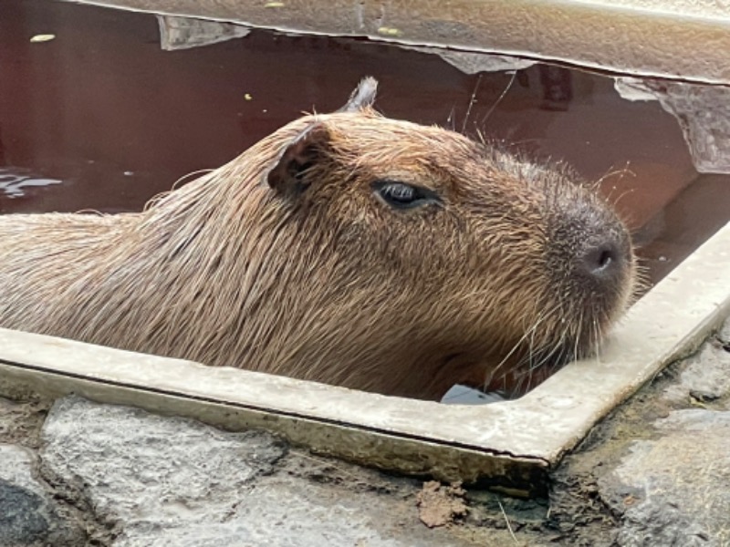 MiNaToさんの石狩天然温泉 番屋の湯のサ活写真