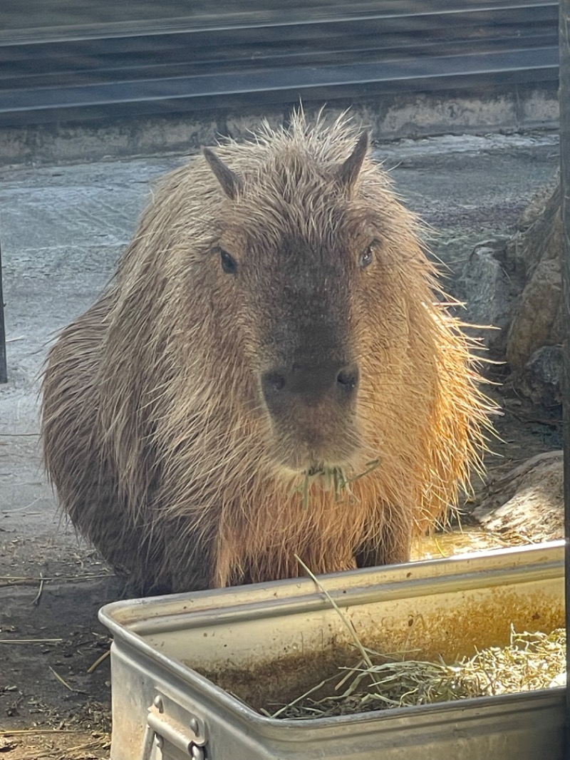 MiNaToさんの石狩天然温泉 番屋の湯のサ活写真