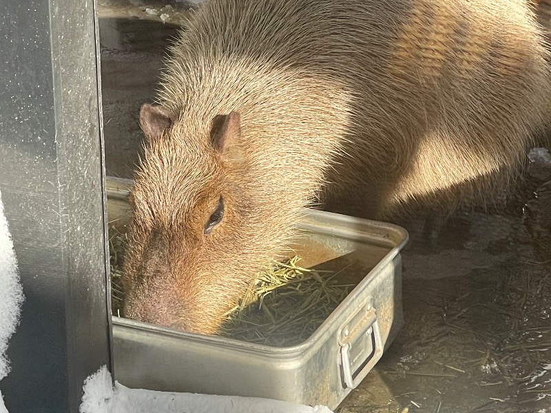 MiNaToさんの石狩天然温泉 番屋の湯のサ活写真