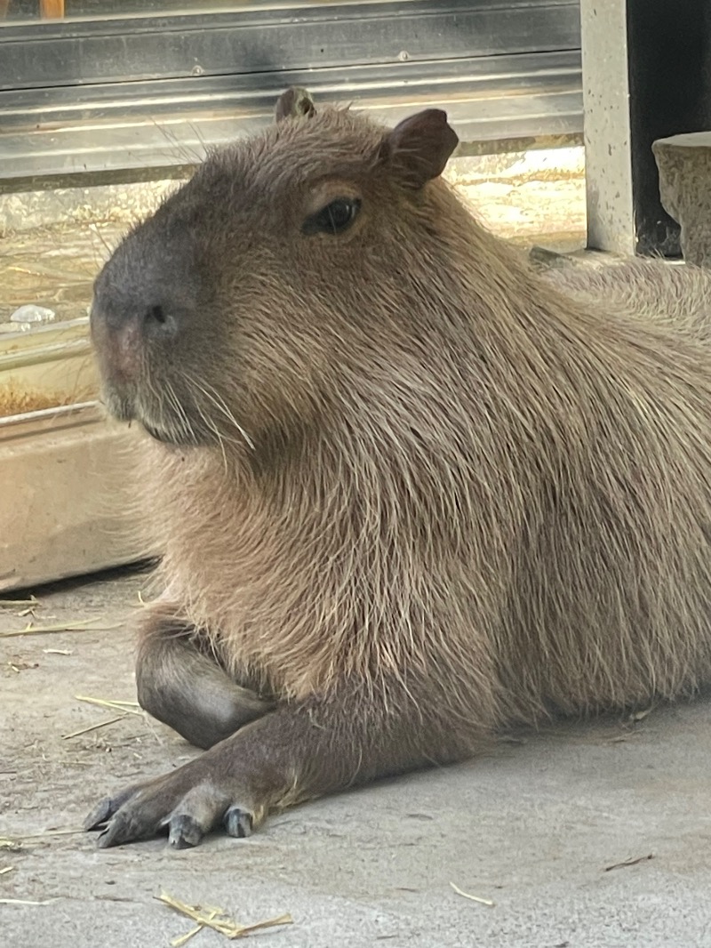 MiNaToさんの石狩天然温泉 番屋の湯のサ活写真