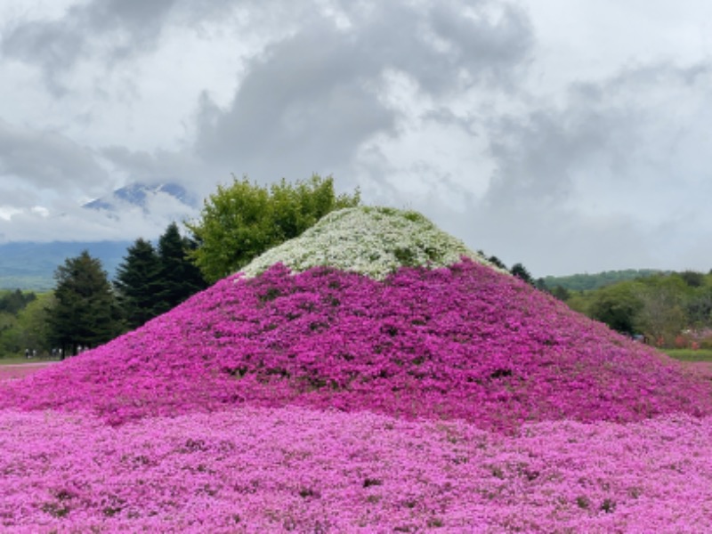 Atsushiさんのふじやま温泉のサ活写真