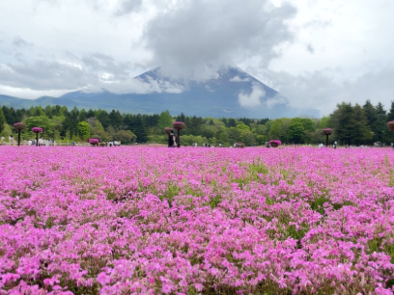 Atsushiさんのふじやま温泉のサ活写真