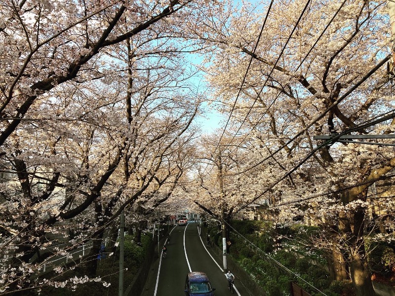 ozukuさんの都湯のサ活写真