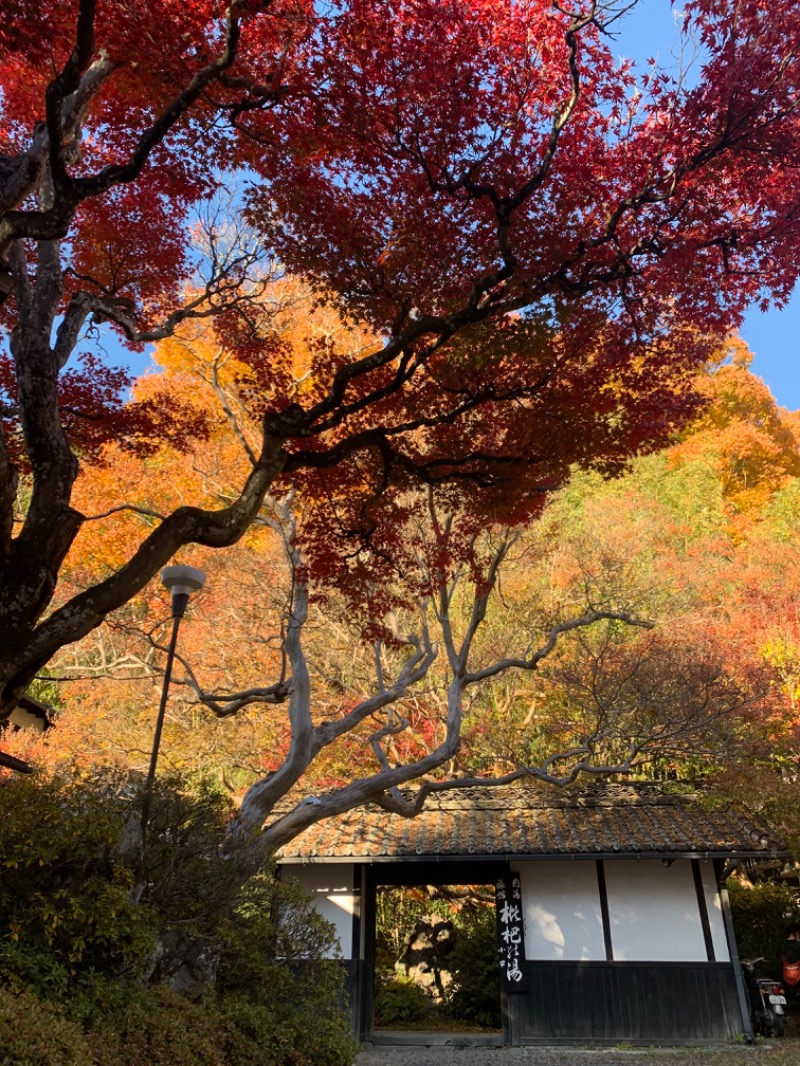 盆地住まいさんの枇杷の湯のサ活写真