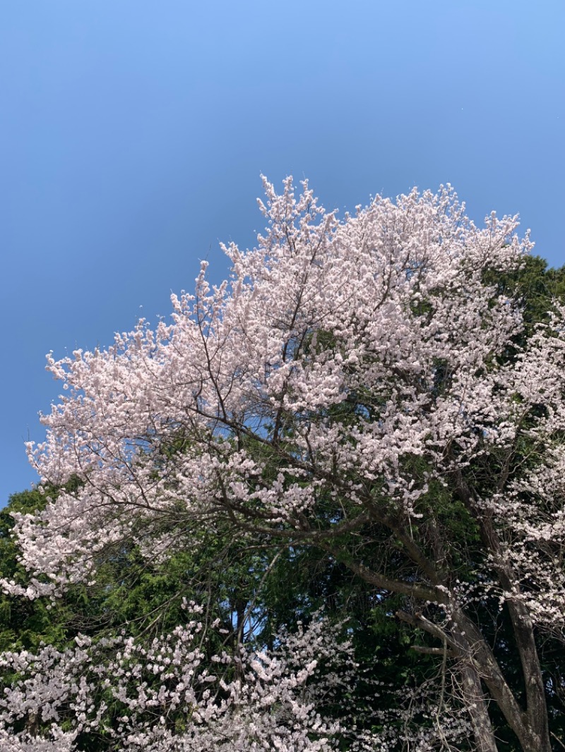 盆地住まいさんのふれあい交流センター大芝の湯のサ活写真