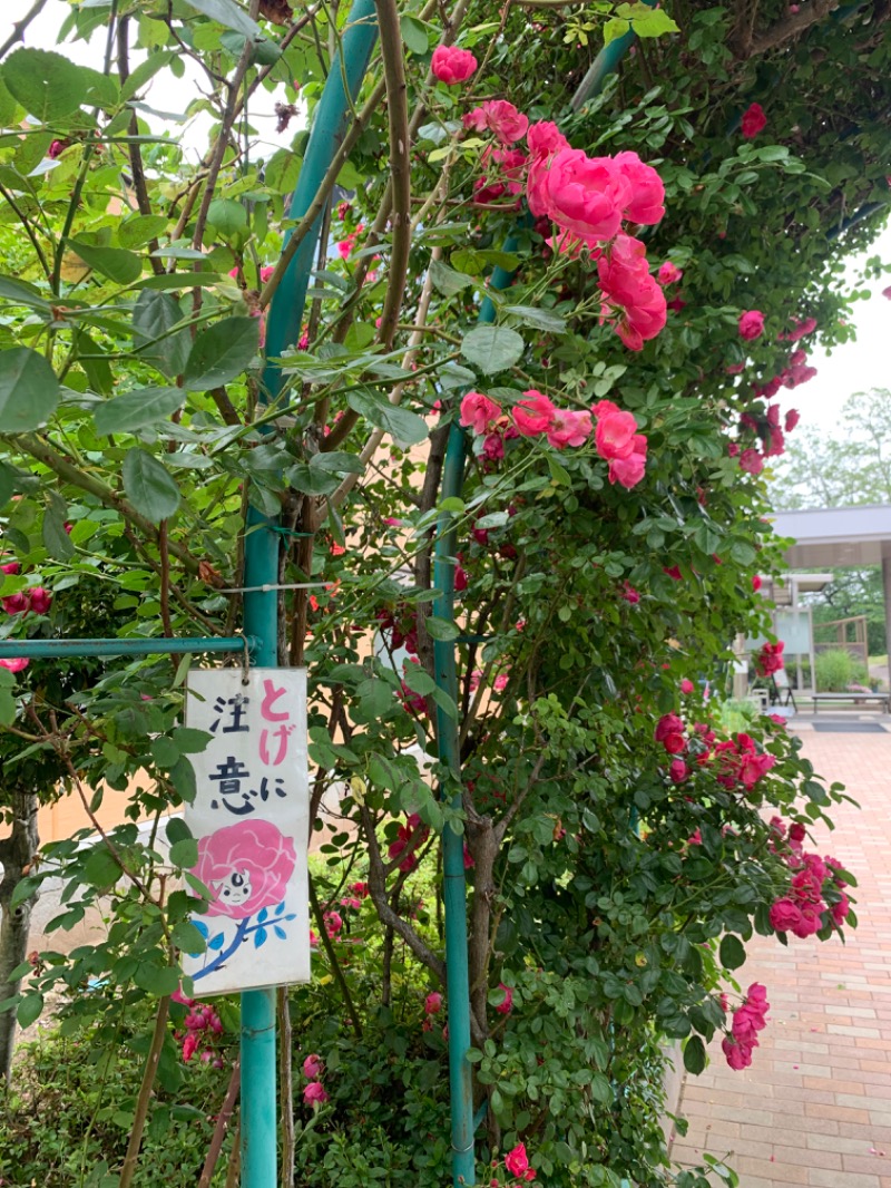 盆地住まいさんの立科温泉 権現の湯のサ活写真