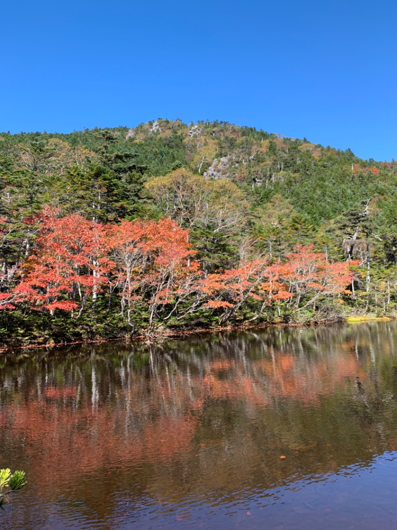 盆地住まいさんの立科温泉 権現の湯のサ活写真