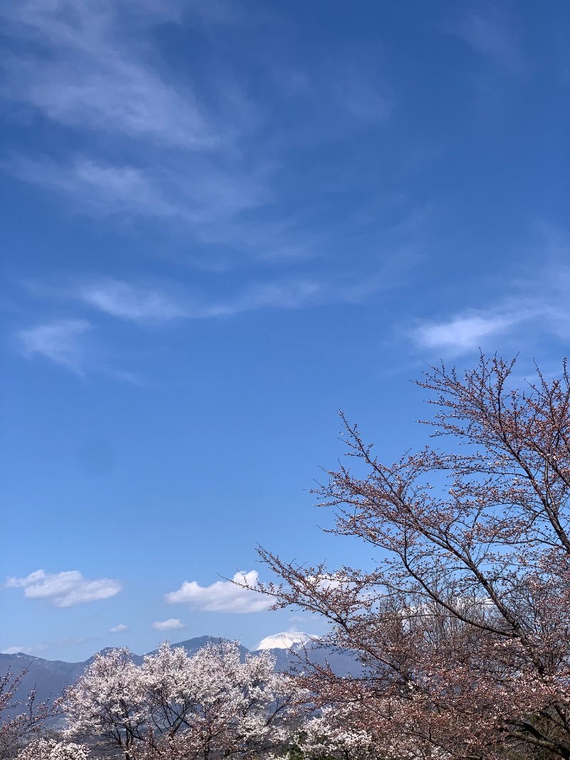 盆地住まいさんの立科温泉 権現の湯のサ活写真