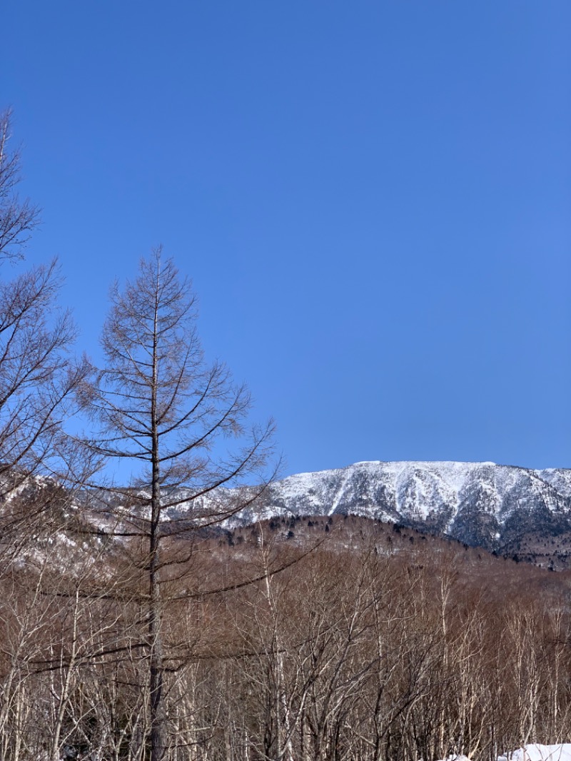 盆地住まいさんのホテルグランフェニックス奥志賀のサ活写真