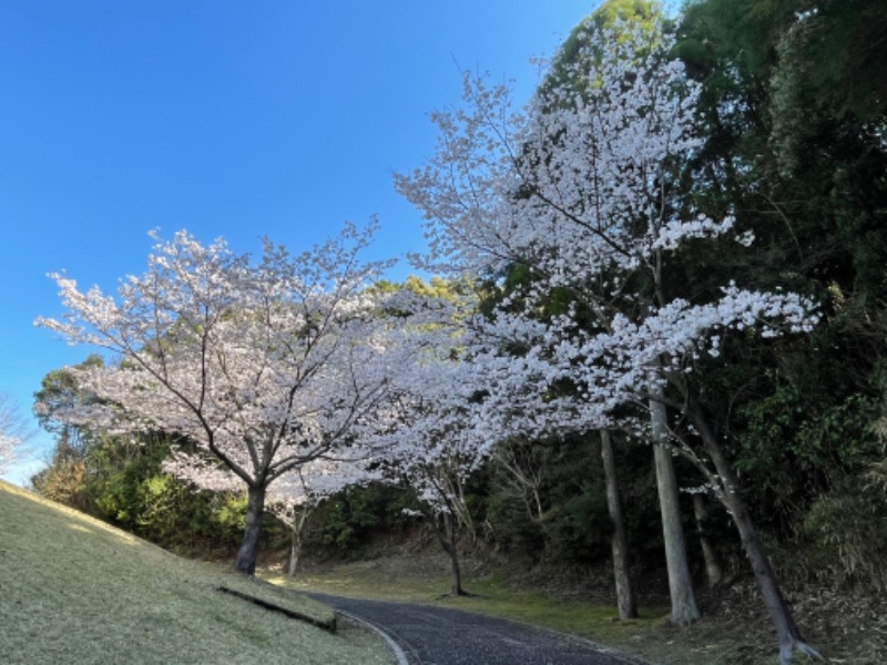 とりこだまさんの鏡石湯のサ活写真