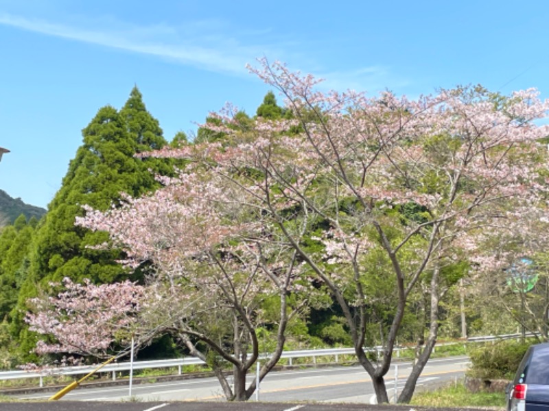 とりこだまさんの鏡石湯のサ活写真