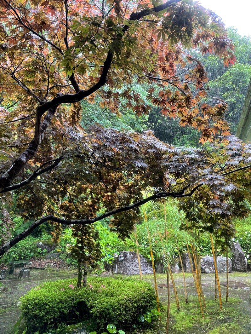 とりこだまさんの鏡石湯のサ活写真