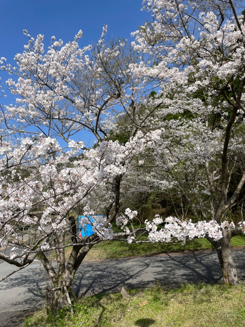 とりこだまさんの鏡石湯のサ活写真