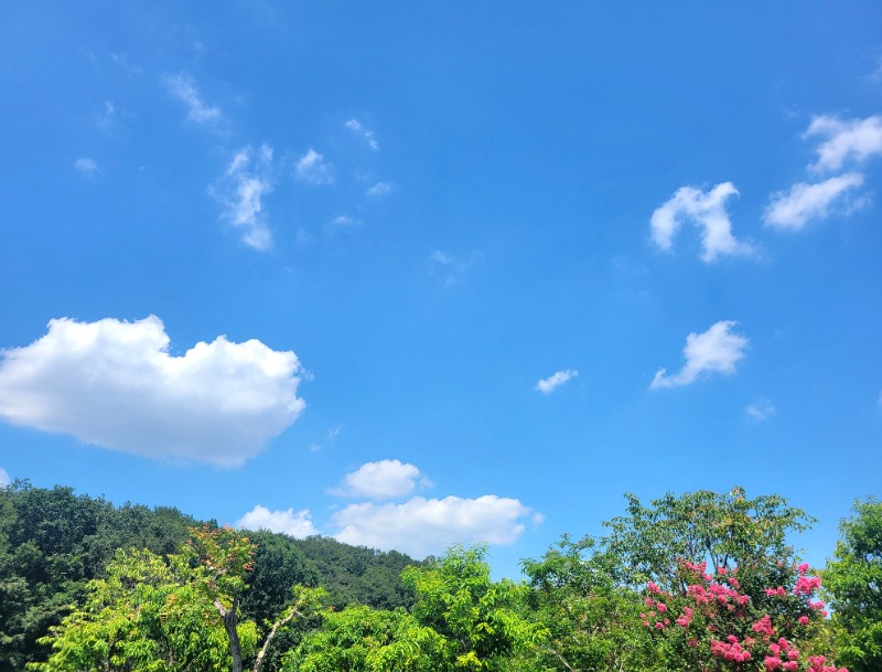 よーこさんの竜泉寺の湯 八王子みなみ野店のサ活写真