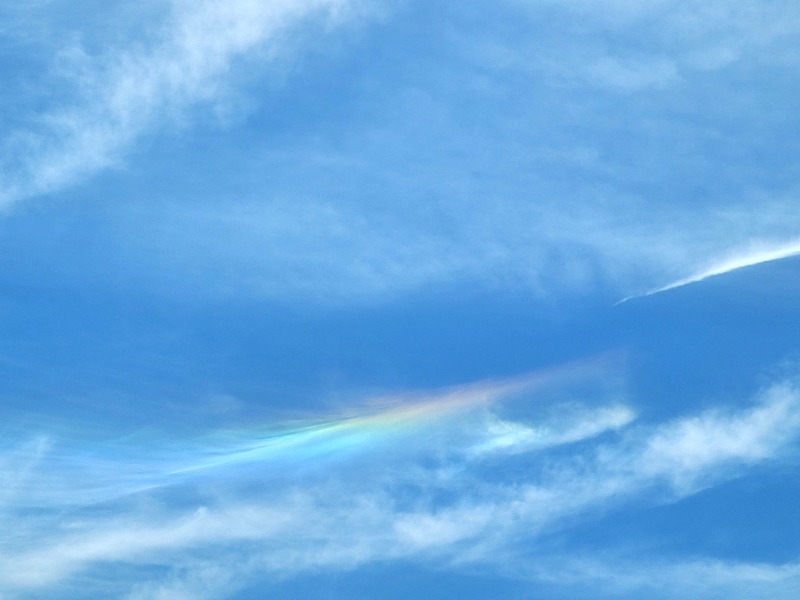 よーこさんのロイヤル胎内パークホテルのサ活写真