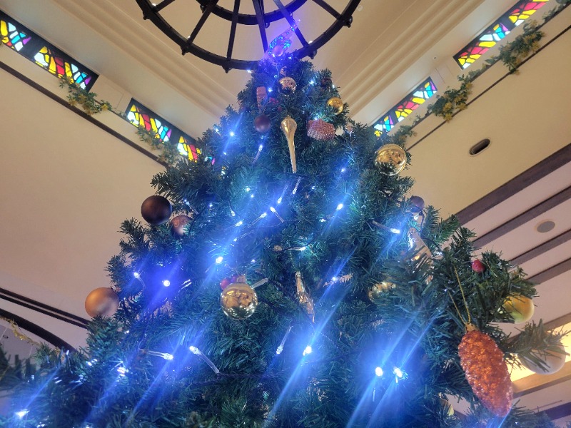 よーこさんのロイヤル胎内パークホテルのサ活写真