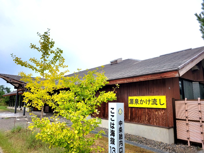 よーこさんの塩の湯温泉 サンセット中条のサ活写真