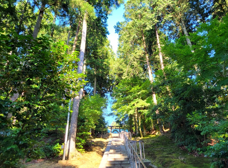 よーこさんの深層湯温泉 紫雲の郷のサ活写真