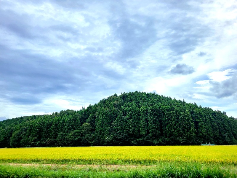 よーこさんの百花の里 城山温泉のサ活写真