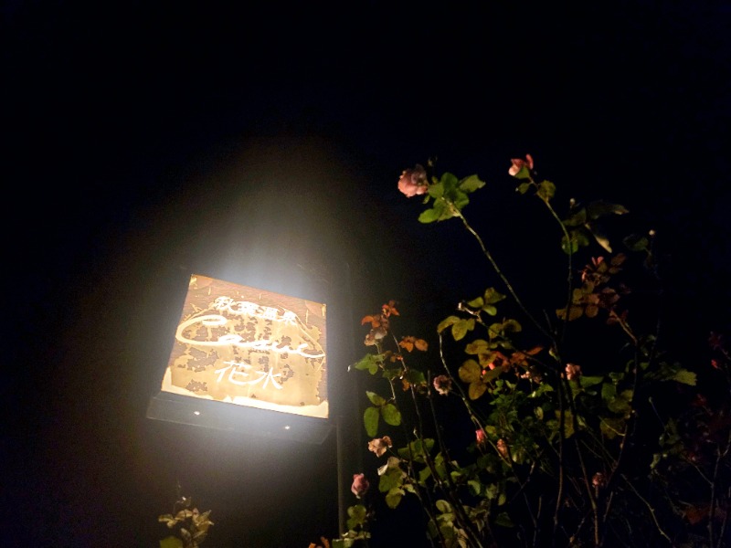 よーこさんの秋葉温泉 花水のサ活写真