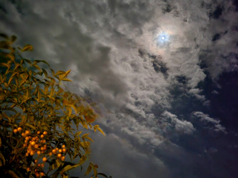 よーこさんの秋葉温泉 花水のサ活写真