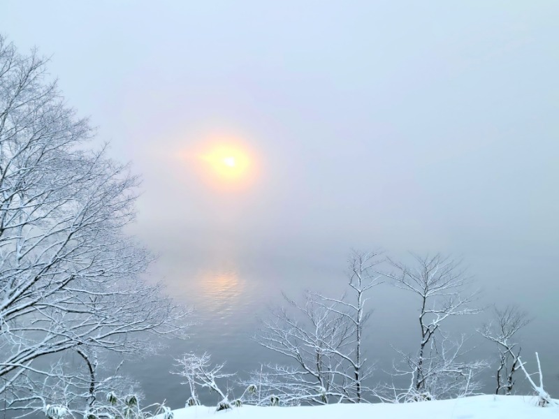 よーこさんの蔵の湯のサ活写真