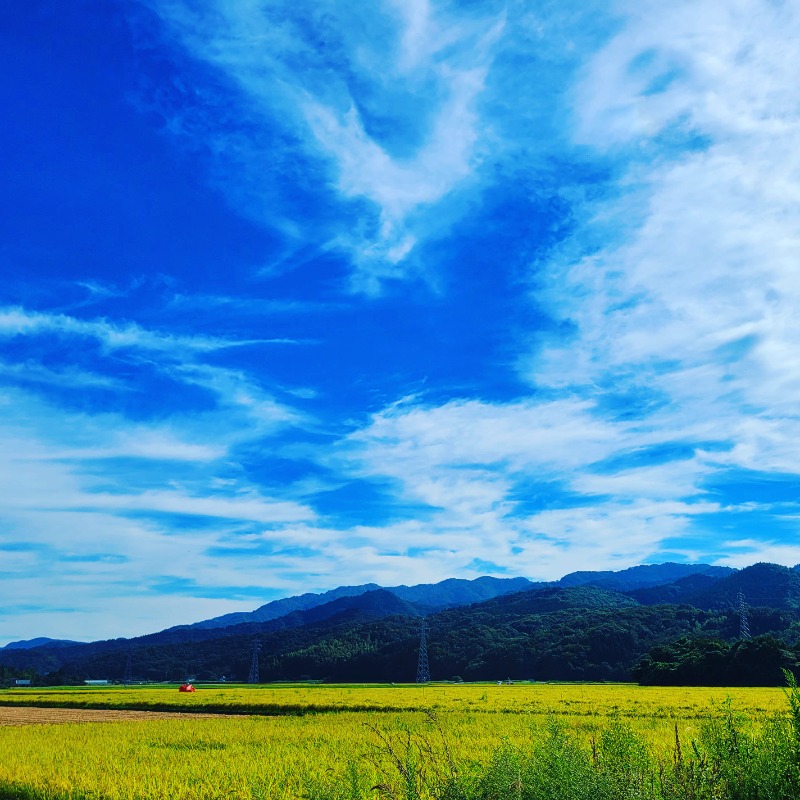 よーこさんの五泉市村松 さくらんど温泉のサ活写真